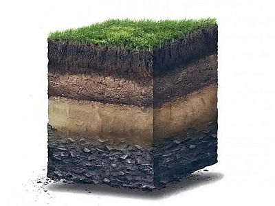 土壤修復(fù)改良